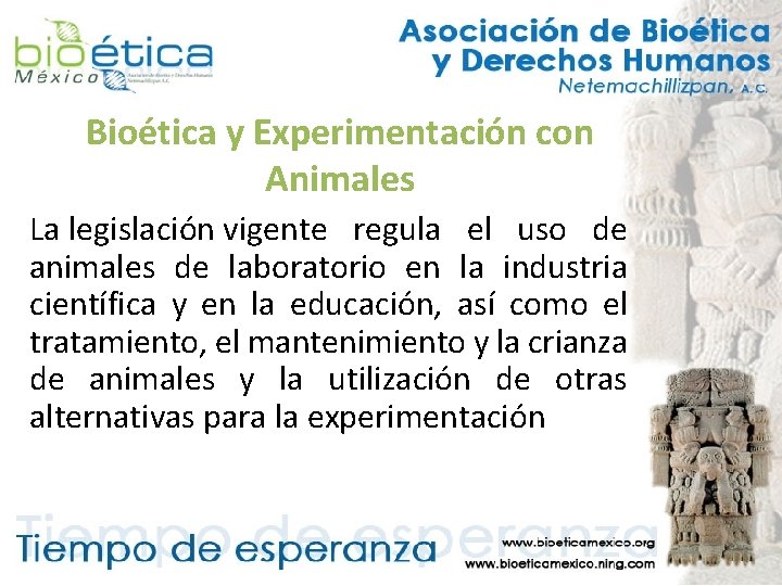 Bioética y Experimentación con Animales La legislación vigente regula el uso de animales de