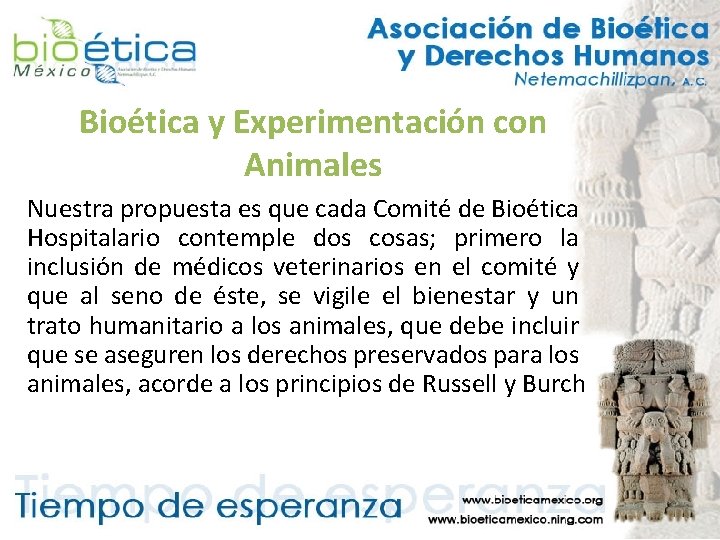 Bioética y Experimentación con Animales Nuestra propuesta es que cada Comité de Bioética Hospitalario