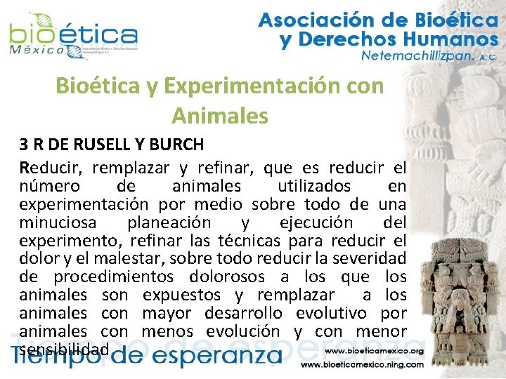 Bioética y Experimentación con Animales 3 R DE RUSELL Y BURCH Reducir, remplazar y