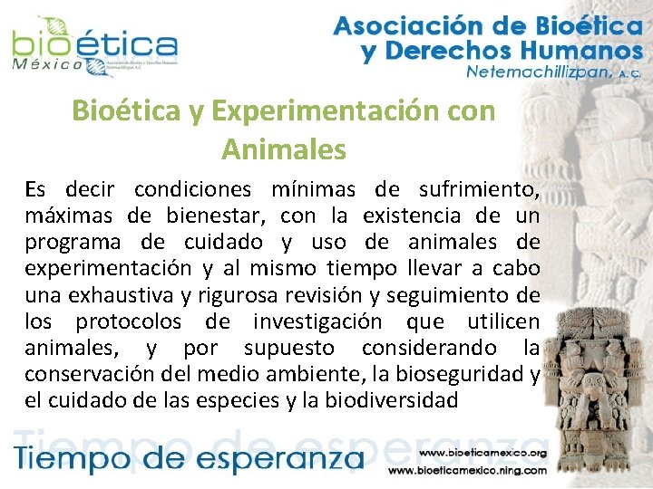 Bioética y Experimentación con Animales Es decir condiciones mínimas de sufrimiento, máximas de bienestar,