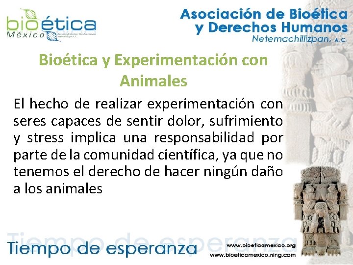 Bioética y Experimentación con Animales El hecho de realizar experimentación con seres capaces de