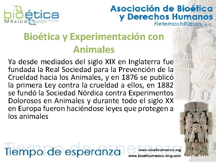Bioética y Experimentación con Animales Ya desde mediados del siglo XIX en Inglaterra fue