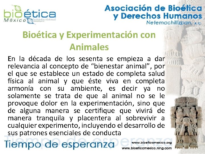 Bioética y Experimentación con Animales En la década de los sesenta se empieza a