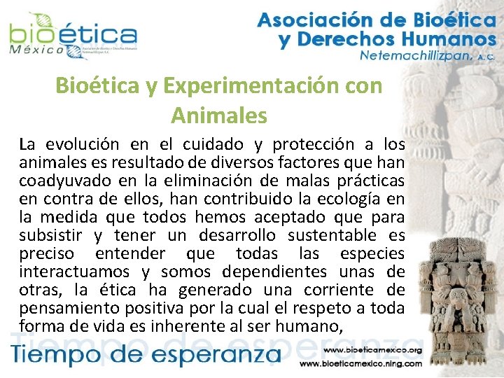 Bioética y Experimentación con Animales La evolución en el cuidado y protección a los