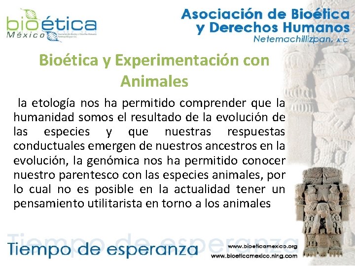 Bioética y Experimentación con Animales la etología nos ha permitido comprender que la humanidad