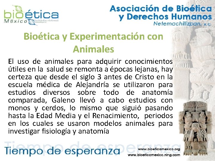 Bioética y Experimentación con Animales El uso de animales para adquirir conocimientos útiles en