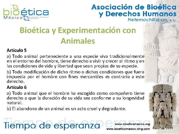 Bioética y Experimentación con Animales Artículo 5 a) Todo animal perteneciente a una especie