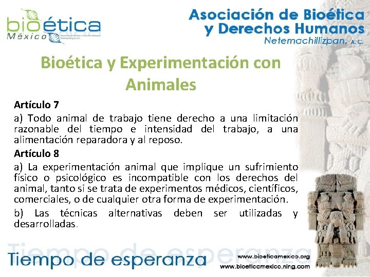 Bioética y Experimentación con Animales Artículo 7 a) Todo animal de trabajo tiene derecho