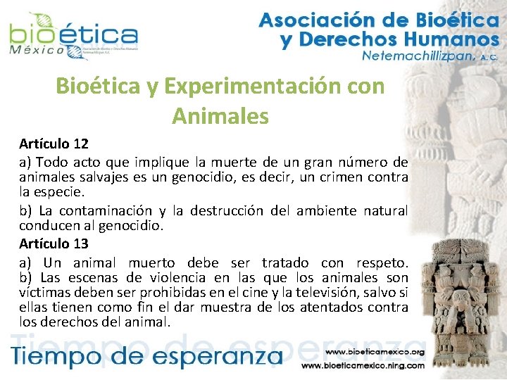 Bioética y Experimentación con Animales Artículo 12 a) Todo acto que implique la muerte