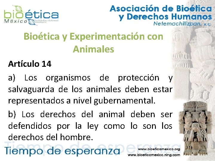 Bioética y Experimentación con Animales Artículo 14 a) Los organismos de protección y salvaguarda