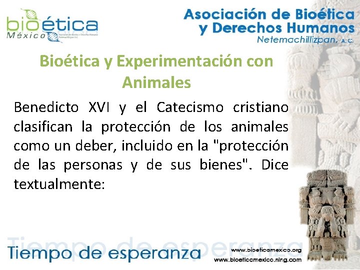 Bioética y Experimentación con Animales Benedicto XVI y el Catecismo cristiano clasifican la protección