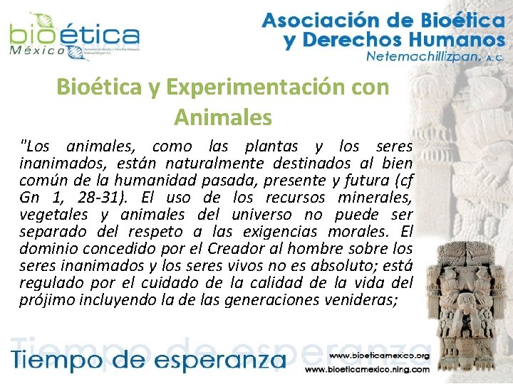 Bioética y Experimentación con Animales "Los animales, como las plantas y los seres inanimados,
