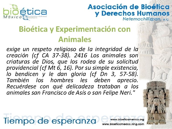 Bioética y Experimentación con Animales exige un respeto religioso de la integridad de la