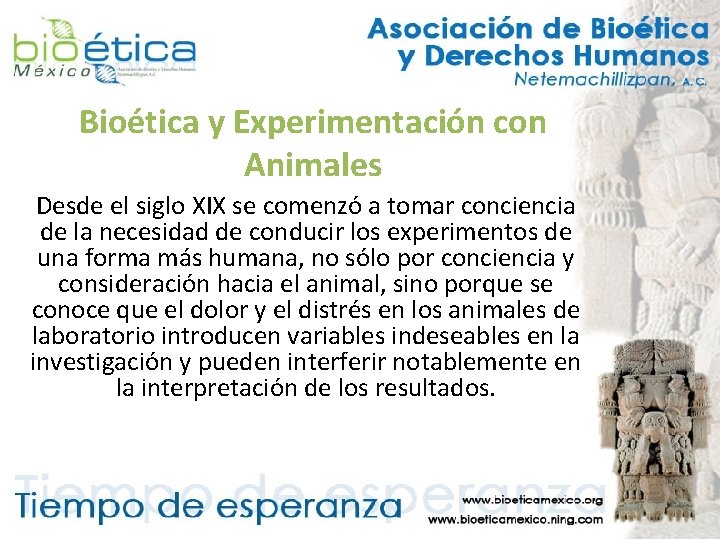 Bioética y Experimentación con Animales Desde el siglo XIX se comenzó a tomar conciencia