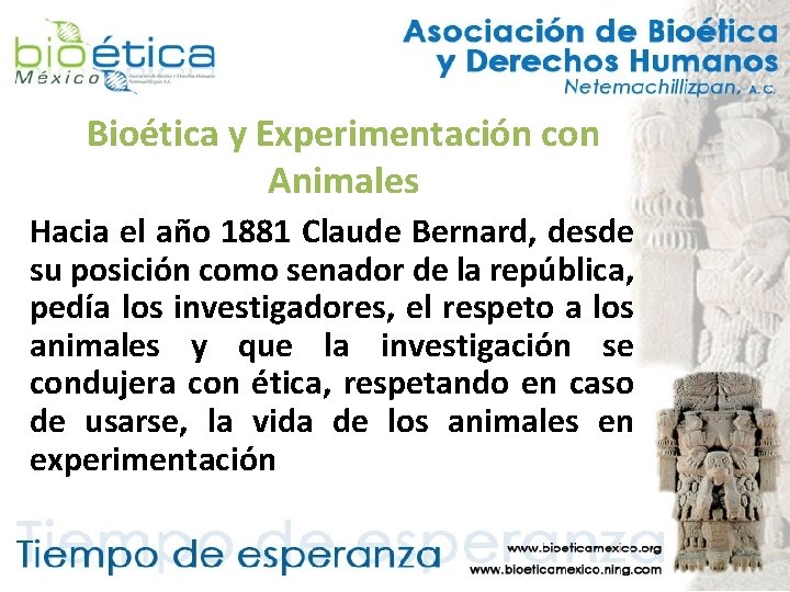 Bioética y Experimentación con Animales Hacia el año 1881 Claude Bernard, desde su posición