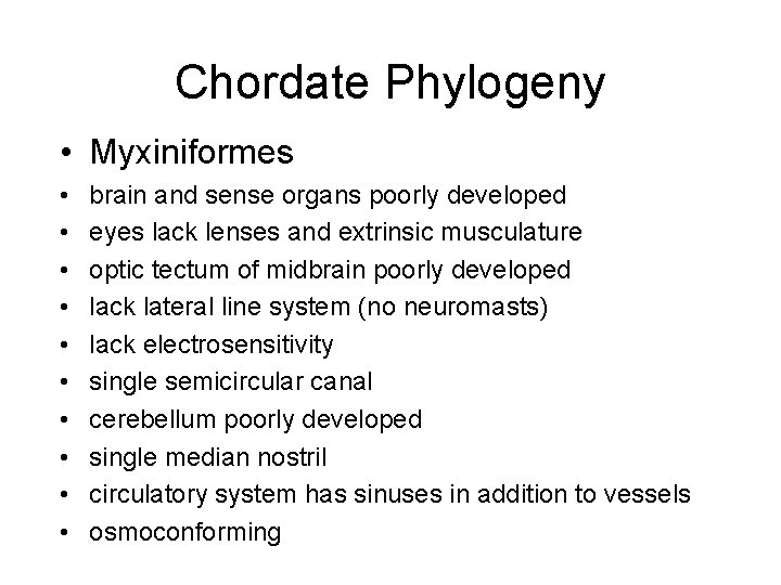 Chordate Phylogeny • Myxiniformes • • • brain and sense organs poorly developed eyes