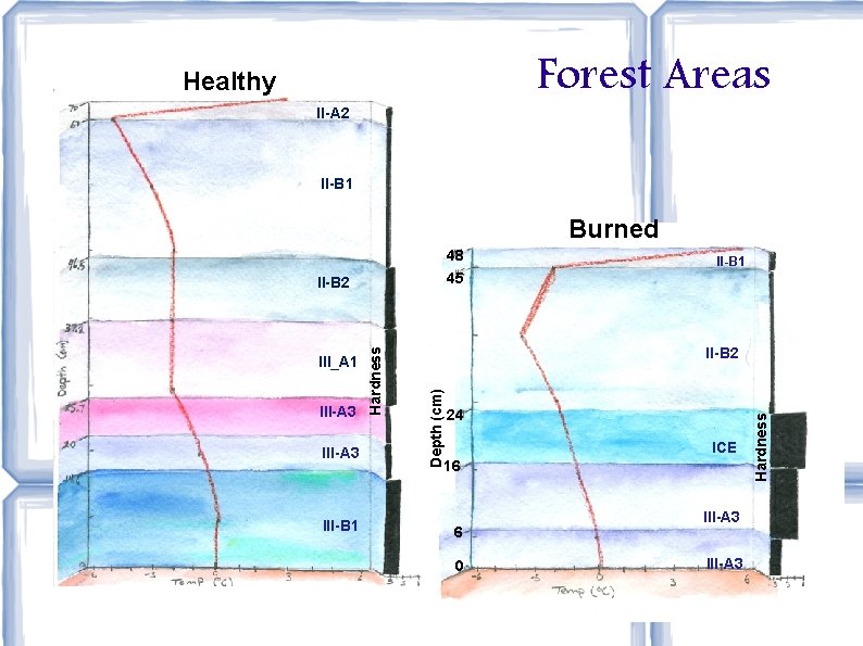 Forest Areas__ Healthy II-A 2 II-B 1 Burned 48 45 III-A 3 III-B 1
