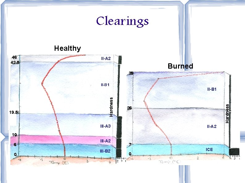 Clearings Healthy 46 42. 5 II-A 2 Burned 39 II-B 1 Hardness 19. 5