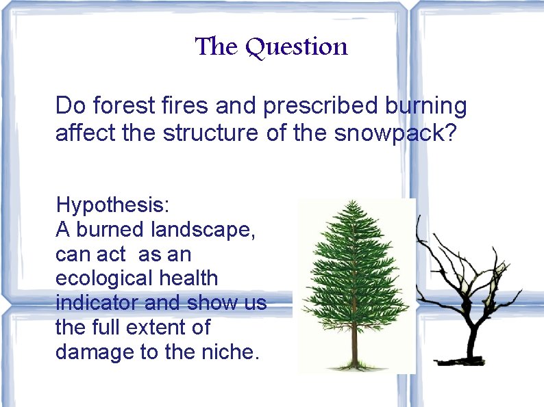 The Question Do forest fires and prescribed burning affect the structure of the snowpack?