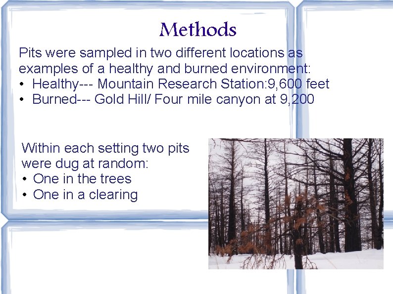 Methods Pits were sampled in two different locations as examples of a healthy and