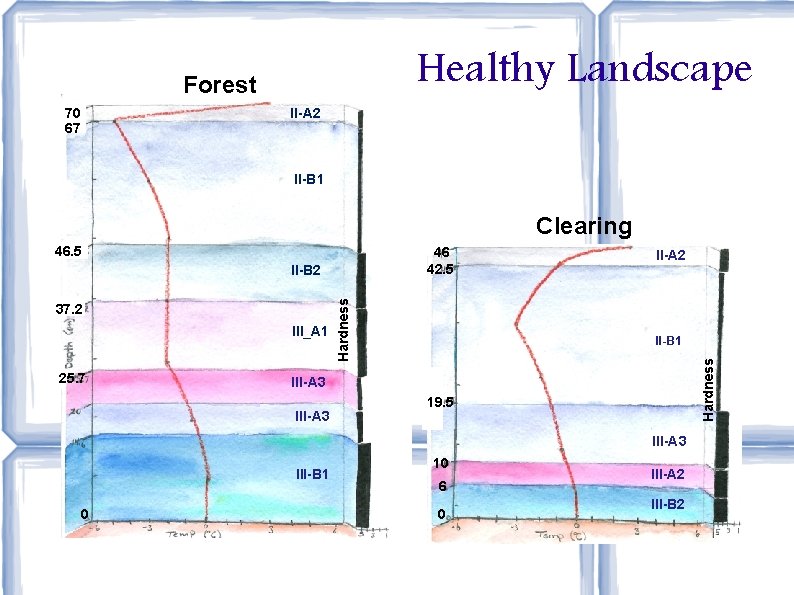 Healthy Landscape Forest 70 67 II-A 2 II-B 1 Clearing 46 42. 5 37.