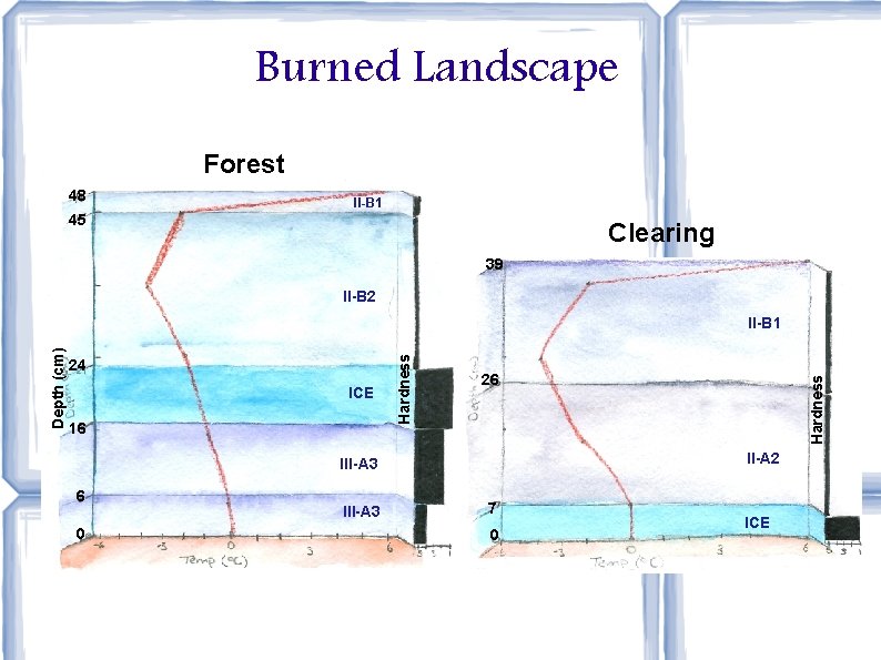 Burned Landscape Forest 48 II-B 1 45 Clearing 39 II-B 2 ICE 16 26