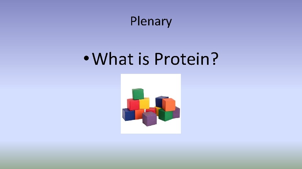 Plenary • What is Protein? 
