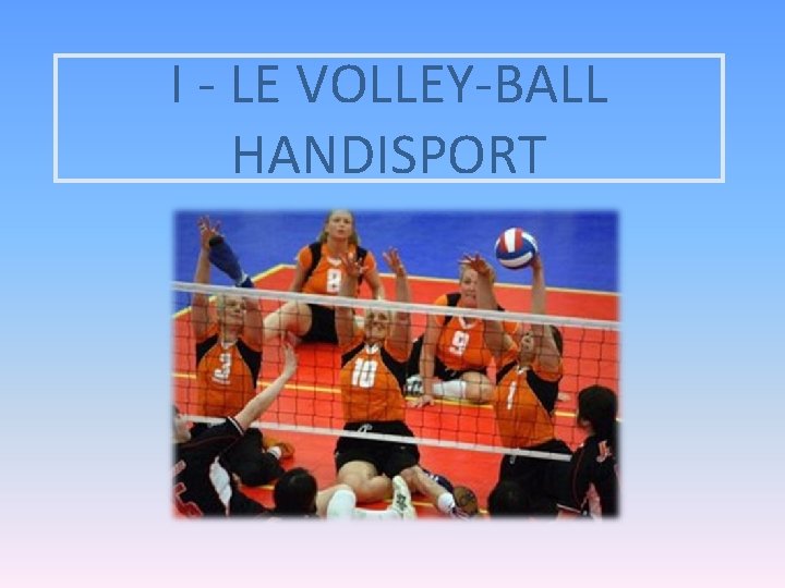 I - LE VOLLEY-BALL HANDISPORT 