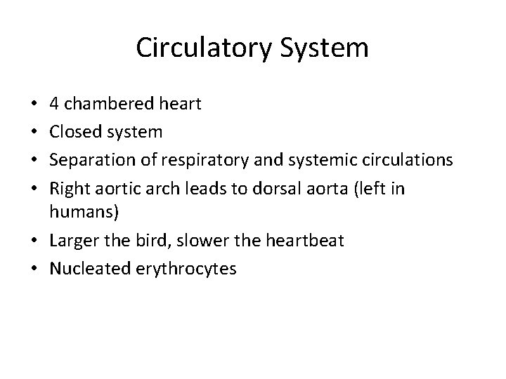 Circulatory System 4 chambered heart Closed system Separation of respiratory and systemic circulations Right