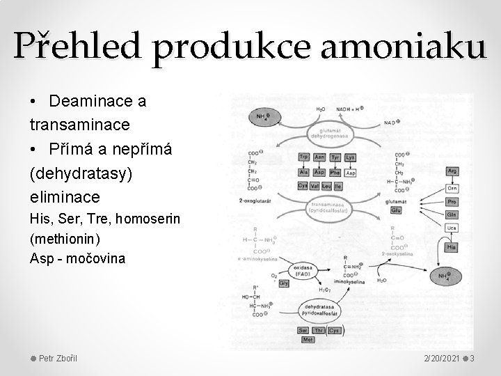 Přehled produkce amoniaku • Deaminace a transaminace • Přímá a nepřímá (dehydratasy) eliminace His,