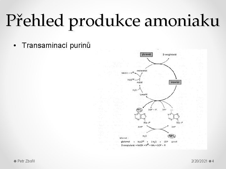 Přehled produkce amoniaku • Transaminací purinů Petr Zbořil 2/20/2021 4 