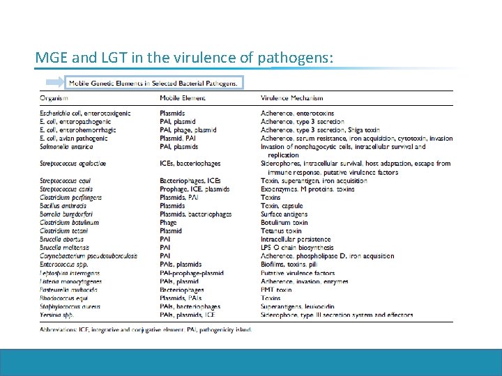 MGE and LGT in the virulence of pathogens: 