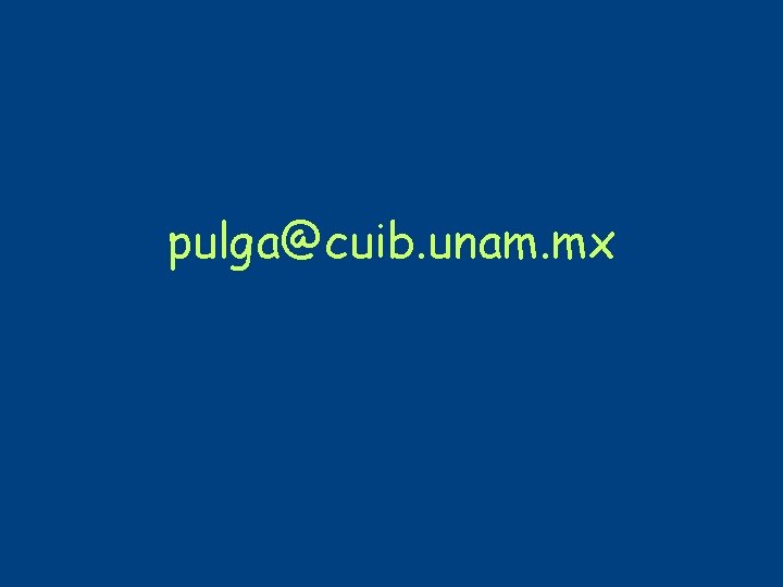 pulga@cuib. unam. mx 