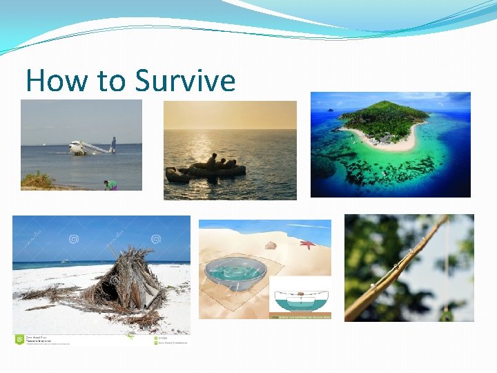 How to Survive 