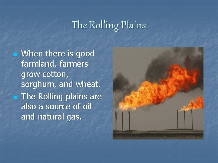 The Rolling Plains n n When there is good farmland, farmers grow cotton, sorghum,