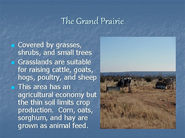 The Grand Prairie n n n Covered by grasses, shrubs, and small trees Grasslands The Grand Prairie n n n Covered by grasses, shrubs, and small trees Grasslands