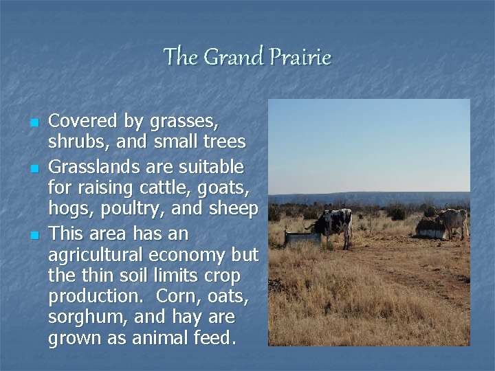 The Grand Prairie n n n Covered by grasses, shrubs, and small trees Grasslands