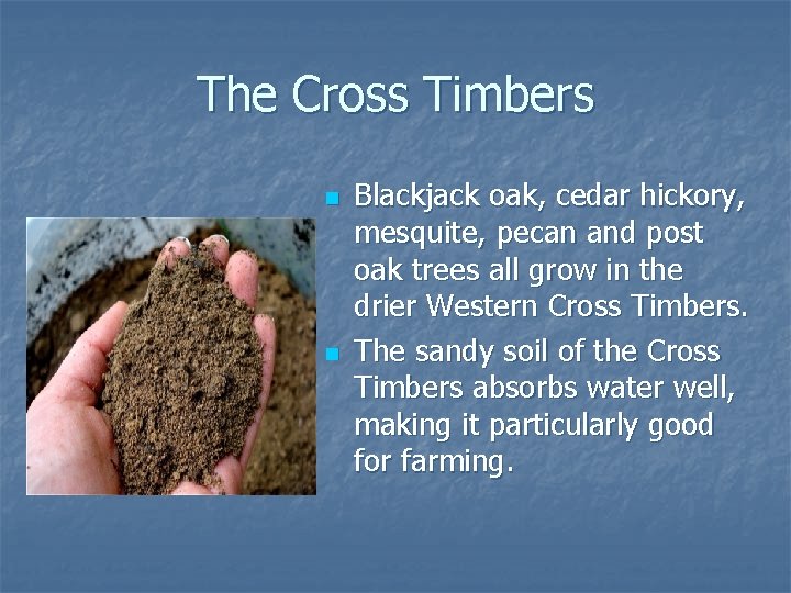 The Cross Timbers n n Blackjack oak, cedar hickory, mesquite, pecan and post oak