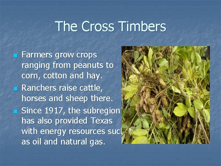 The Cross Timbers n n n Farmers grow crops ranging from peanuts to corn,