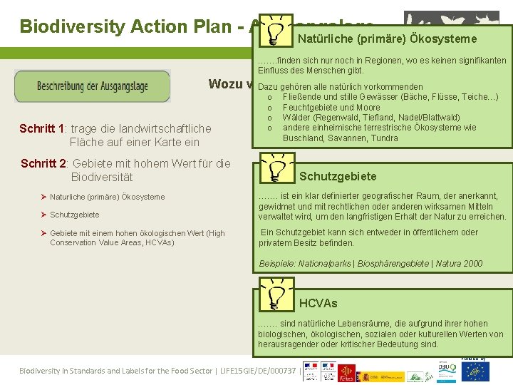 Biodiversity Action Plan - Ausgangslage Natürliche (primäre) Ökosysteme ……. finden sich nur noch in