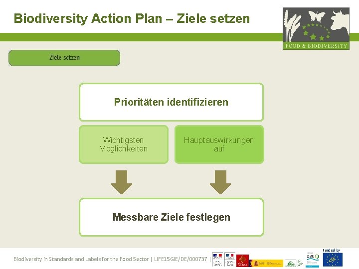 Biodiversity Action Plan – Ziele setzen Prioritäten identifizieren Wichtigsten Möglichkeiten Hauptauswirkungen auf Messbare Ziele