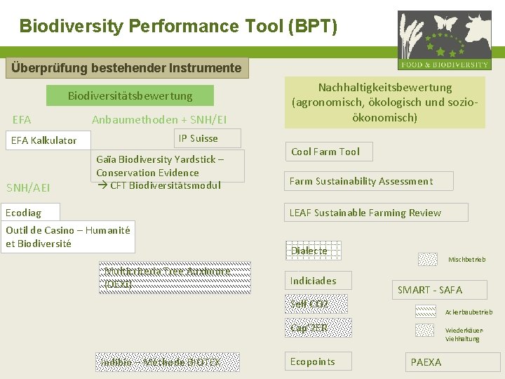 Biodiversity Performance Tool (BPT) Überprüfung bestehender Instrumente Biodiversitätsbewertung EFA Anbaumethoden + SNH/EI IP Suisse