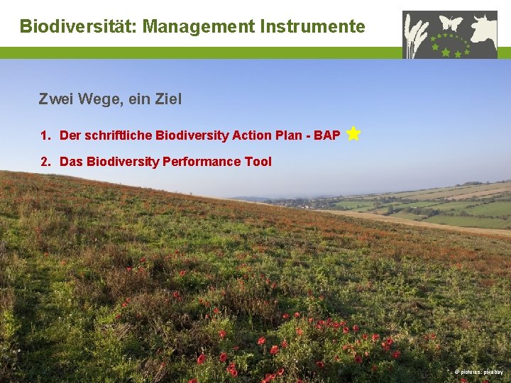 Biodiversität: Management Instrumente Zwei Wege, ein Ziel 1. Der schriftliche Biodiversity Action Plan -