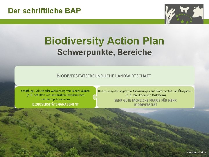 Der schriftliche BAP Biodiversity Action Plan Schwerpunkte, Bereiche Funded by Biodiversity in Standards and