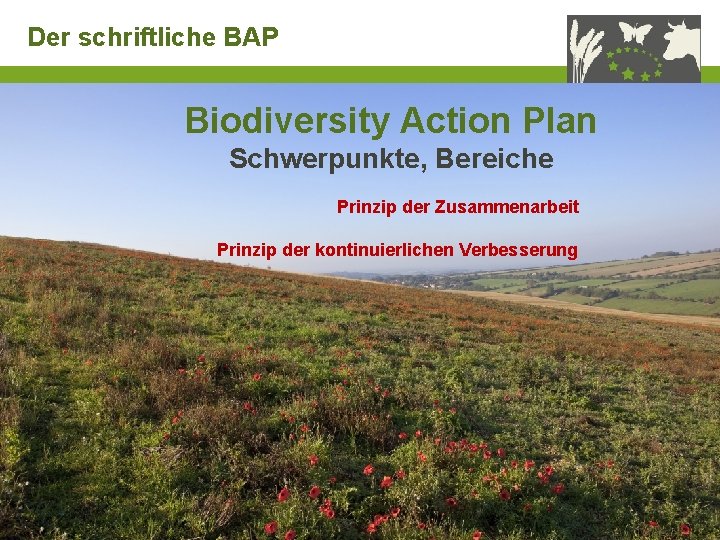 Der schriftliche BAP Biodiversity Action Plan Schwerpunkte, Bereiche Prinzip der Zusammenarbeit Prinzip der kontinuierlichen