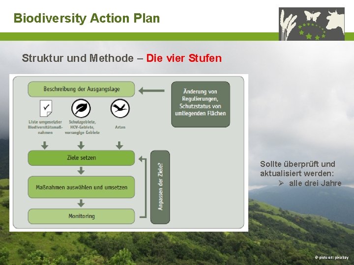 Biodiversity Action Plan Struktur und Methode – Die vier Stufen Sollte überprüft und aktualisiert