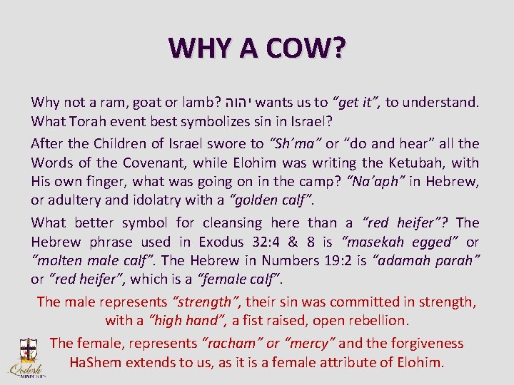 WHY A COW? Why not a ram, goat or lamb? יהוה wants us to