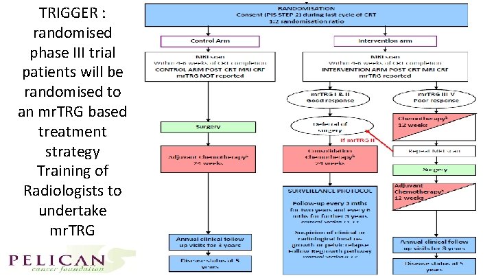 TRIGGER : randomised phase III trial patients will be randomised to an mr. TRG