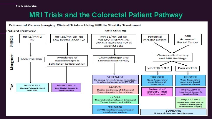 The Royal Marsden MRI Trials and the Colorectal Patient Pathway 