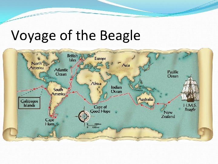 Voyage of the Beagle 